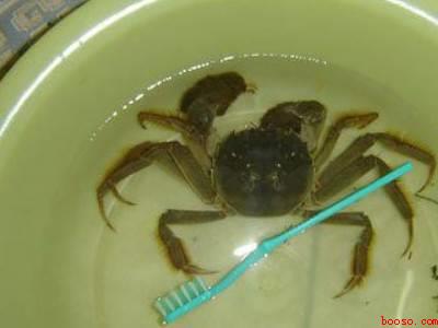 花蟹怎么处理干净