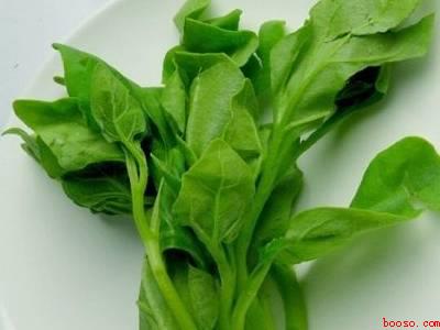 野菠菜怎么吃