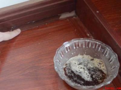 太多蟑螂了怎么杀干净