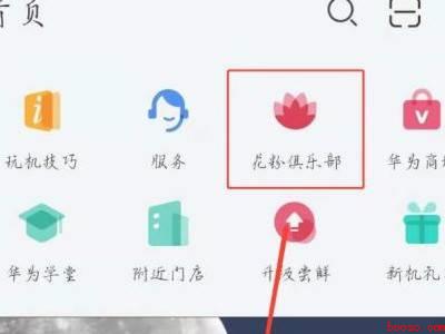 华为手机在哪里升级鸿蒙系统