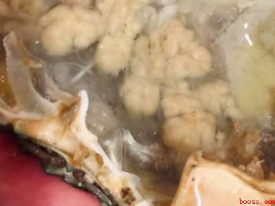 蟹怎么杀怎么清洗