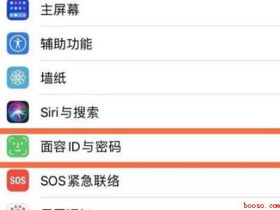 苹果手机只能设置一个面容ID吗
