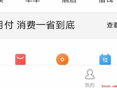 为什么不能关闭美团月付(演示机型:Iphone 12)