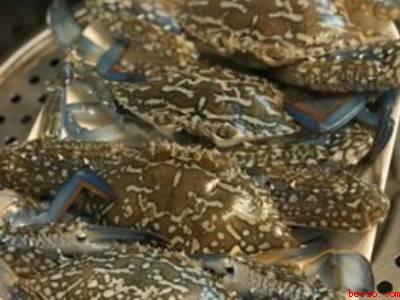 蒸花蟹要多少分钟