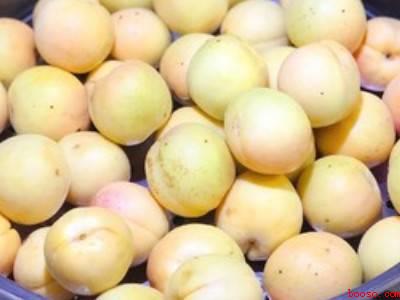 杏干简单的做法怎么做好吃