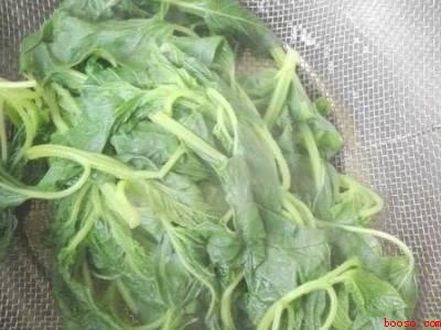 芝麻苗怎么做好吃