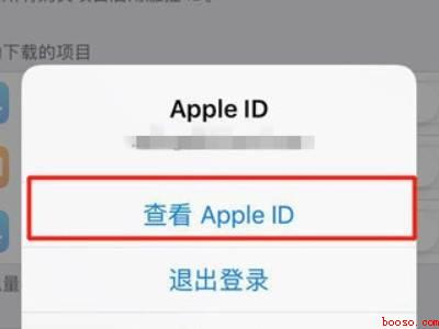 苹果手机支付扣费从哪里看
