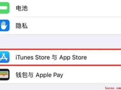 苹果手机支付扣费从哪里看