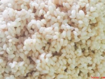 肉粽子的米怎么腌制窍门