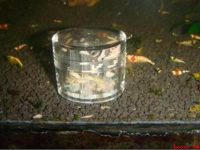 涡虫怎么才能杀死