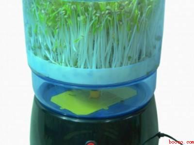 如何用豆芽机发豆芽