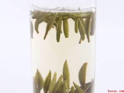 白毫银针如何冲泡