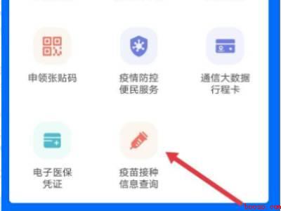 怎么查自己的疫苗记录（演示机型:Iphone 12）