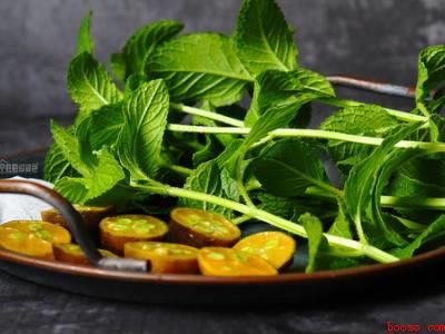 干薄荷叶怎么吃