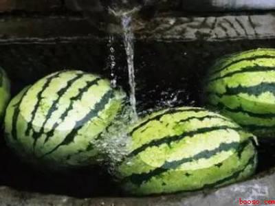 没有冰箱西瓜怎么过夜