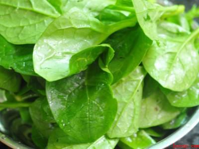 大叶木耳菜怎么做好吃(大叶木耳菜怎么做好吃共有5步)