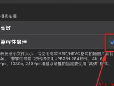 iphone11拍照清晰度设置