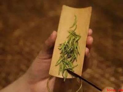 白毫银针如何冲泡