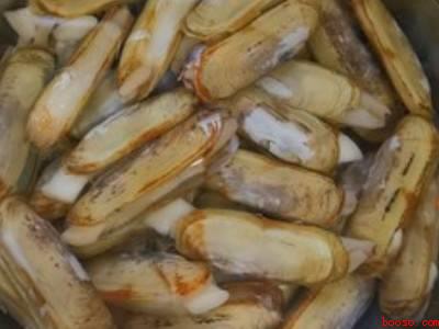 蛏子的清洗方法和做法