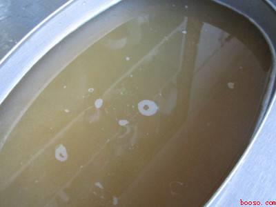 海凉粉怎么熬制作方法