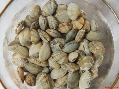 鲜花甲怎么做好吃（鲜花甲怎么做好吃共有5步,可做爆炒）