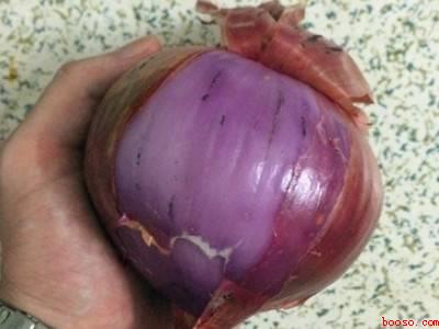 洋葱怎么剥