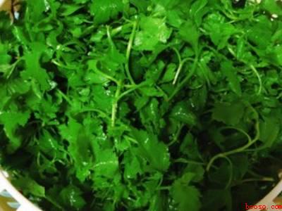 菊花脑怎么做好吃