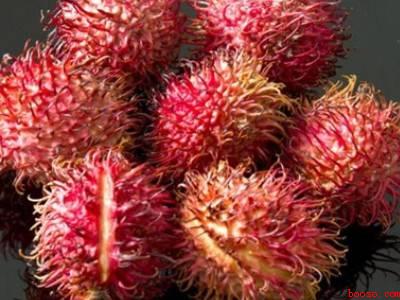 红毛丹果核膜怎么弄掉