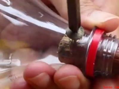 自制高空摘果器工具（自制高空摘果器工具的操作步骤）