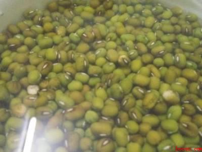 电饭锅可以煮绿豆汤吗