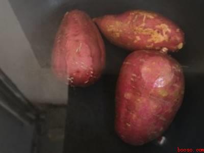红薯煮多久