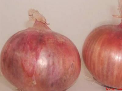 洋葱怎样保存不烂