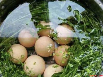 三月三煮鸡蛋怎么煮