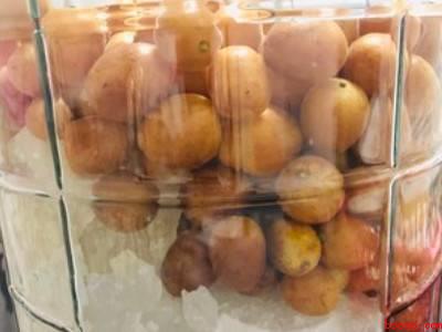 黄皮酒的制作方法