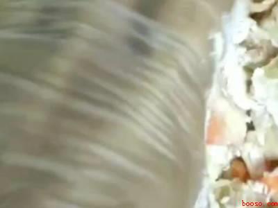 茄饼怎么做简单又好吃