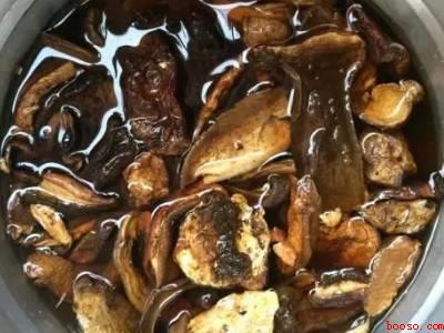 干巴菌怎么清洗干净