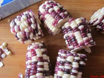 如何煮玉米棒才好吃