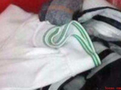 衣服上的霉点怎样才能去掉