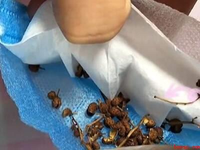 整袋未开封大米夏季怎么保存