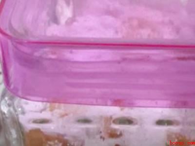 盐黄皮干的制作方法