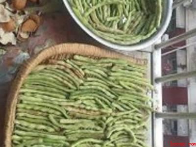 短豆角可以晒干吗