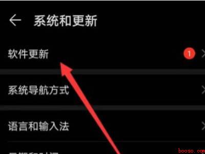 怎么查看华为手机是不是鸿蒙系统(华为P40系统版本:EMUI11)