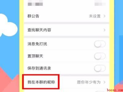 群昵称怎么改（演示机型:Iphone 12）