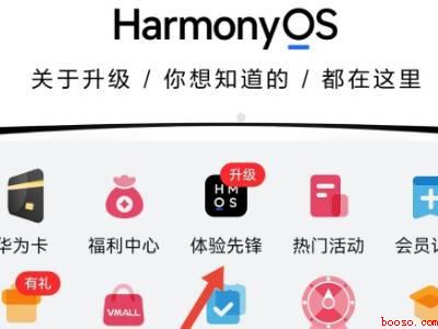 华为p30怎么申请升级鸿蒙系统