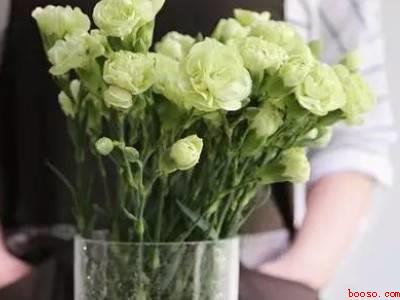 鲜花保鲜剂怎么用