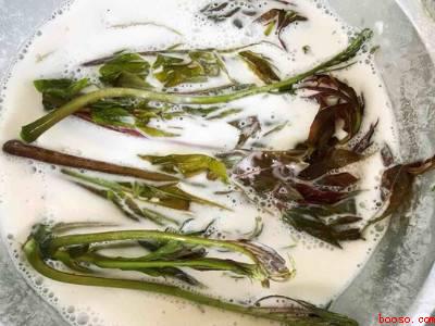 香椿芽怎么炸