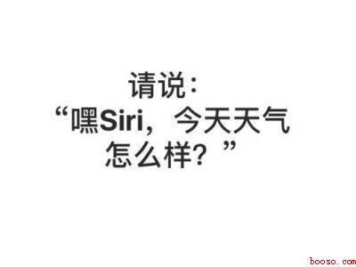 苹果叫siri没有回答声音