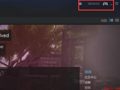 steam账号价值在哪看（华为MateBook X下steam账号价值在哪看）