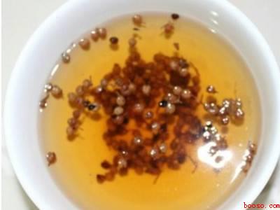 怎么做肉圆子又嫩又不散