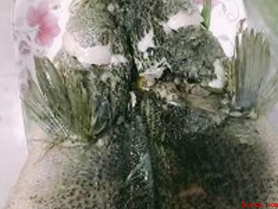 火头鱼怎么做好吃